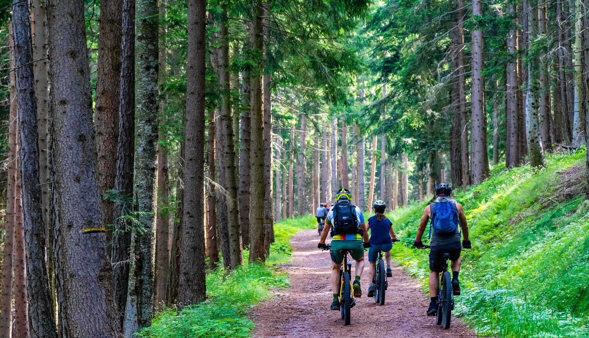 Forest Bicycle Riding | eMotoX Sports